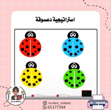 بطاقات الدعسوقة-منتج ورقي